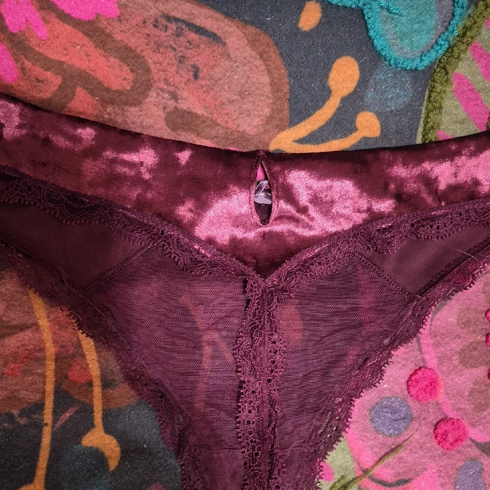 Victoria's Secret Velvet And Lace Bra And Thong Set in Deep Burgundy - Picture 9 of 12